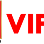 Vifon USA logo